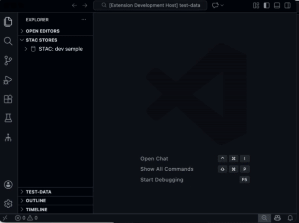 VS Code Extension Demo